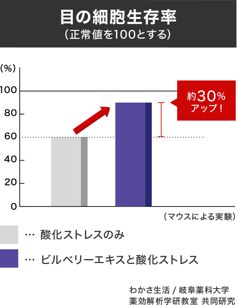 目の細胞生存率