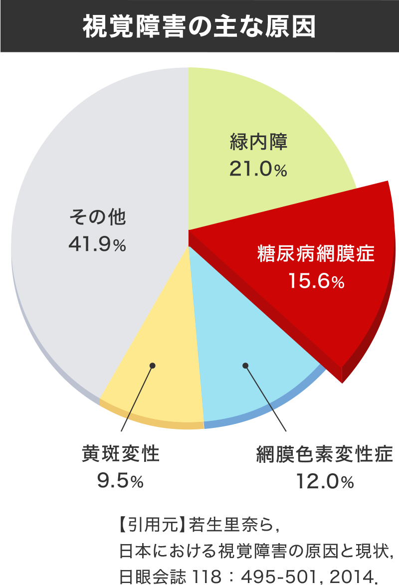 視覚障害の主な原因