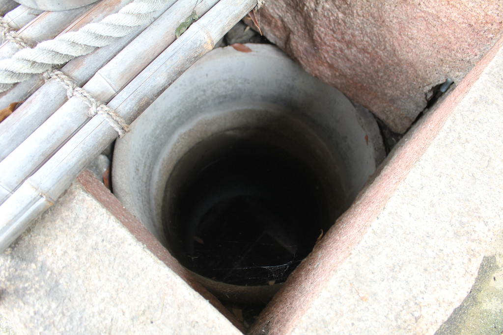「金龍水」の井戸の写真