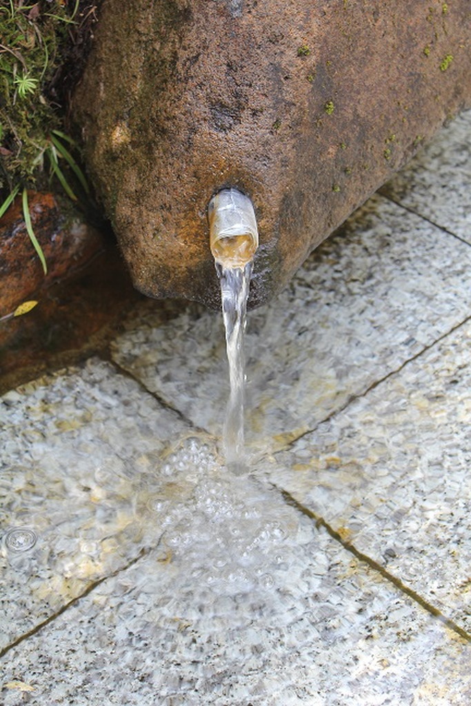 青麻神社境内の清水の写真