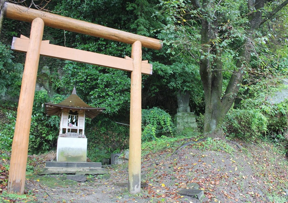 八つの神様鳥居の写真