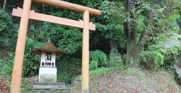 八つの神様鳥居の写真