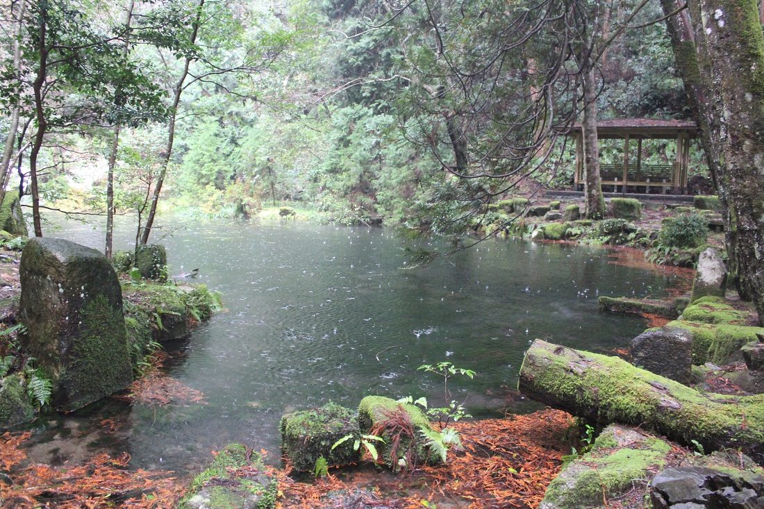 御手洗池の写真①