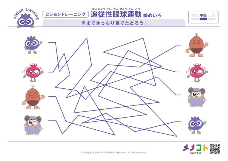 追従性眼球運動線めいろ_中級テキスト
