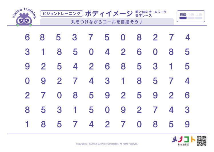 数字レースビジョントレーニング