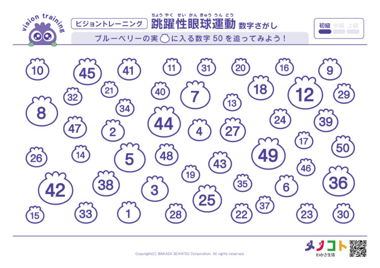 50までの数字初級ビジョントレーニング