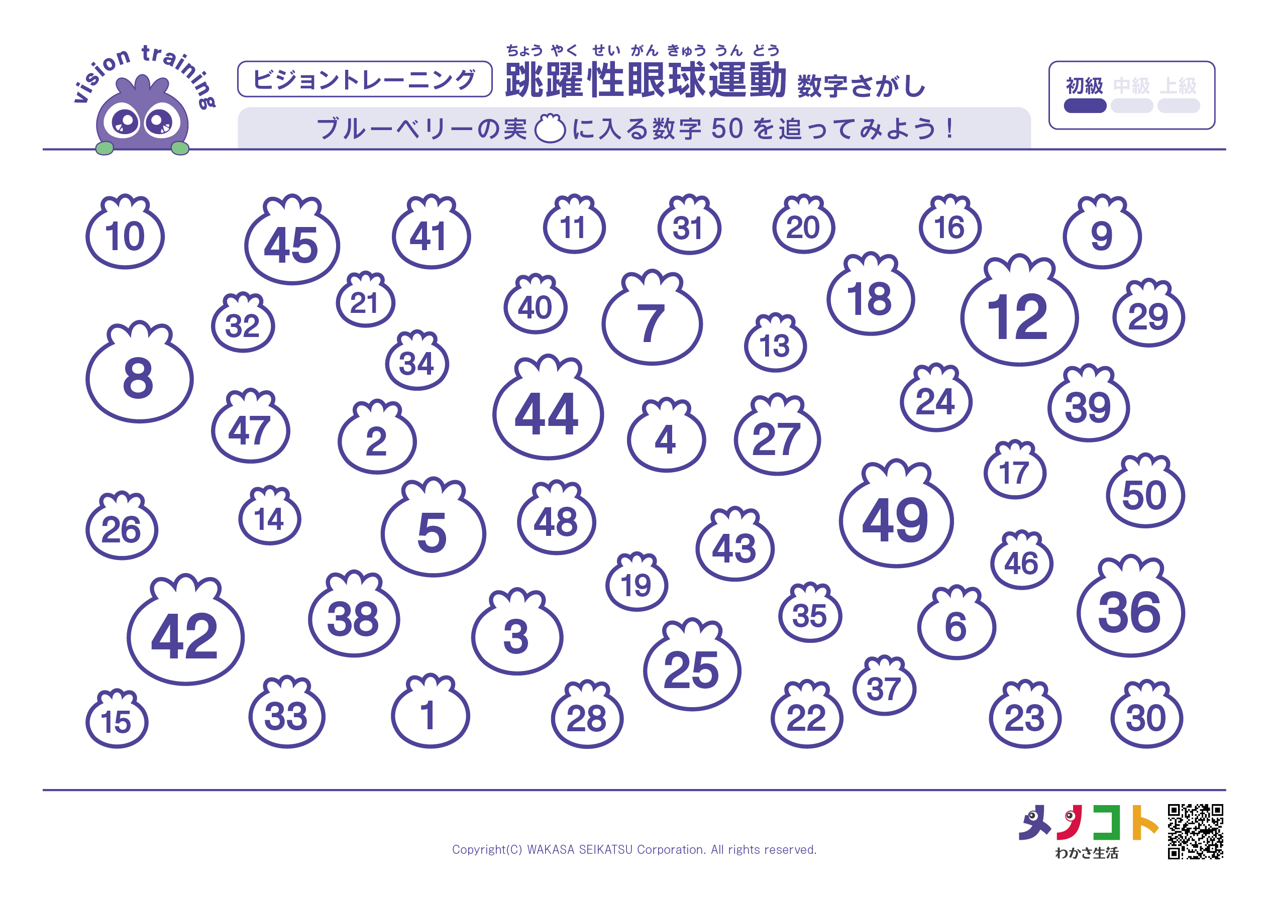 50までの数字初級ビジョントレーニング
