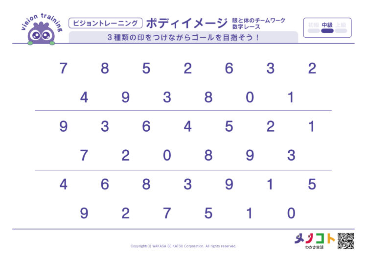数字レース 眼と体のチームワーク中級ビジョントレーニング