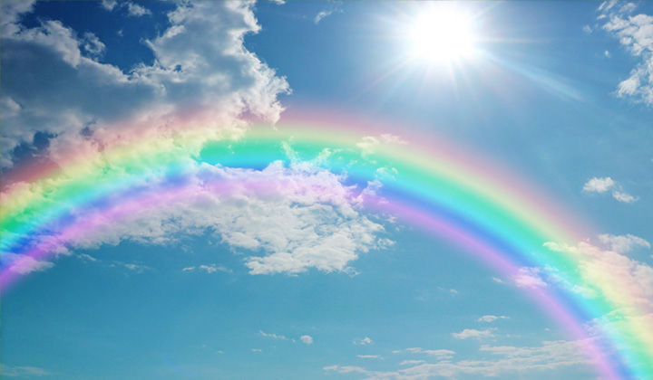 なぜ虹は7色？なぜ雲は白く空は青い？「光」の不思議について解説！ | メノコト365 byわかさ生活