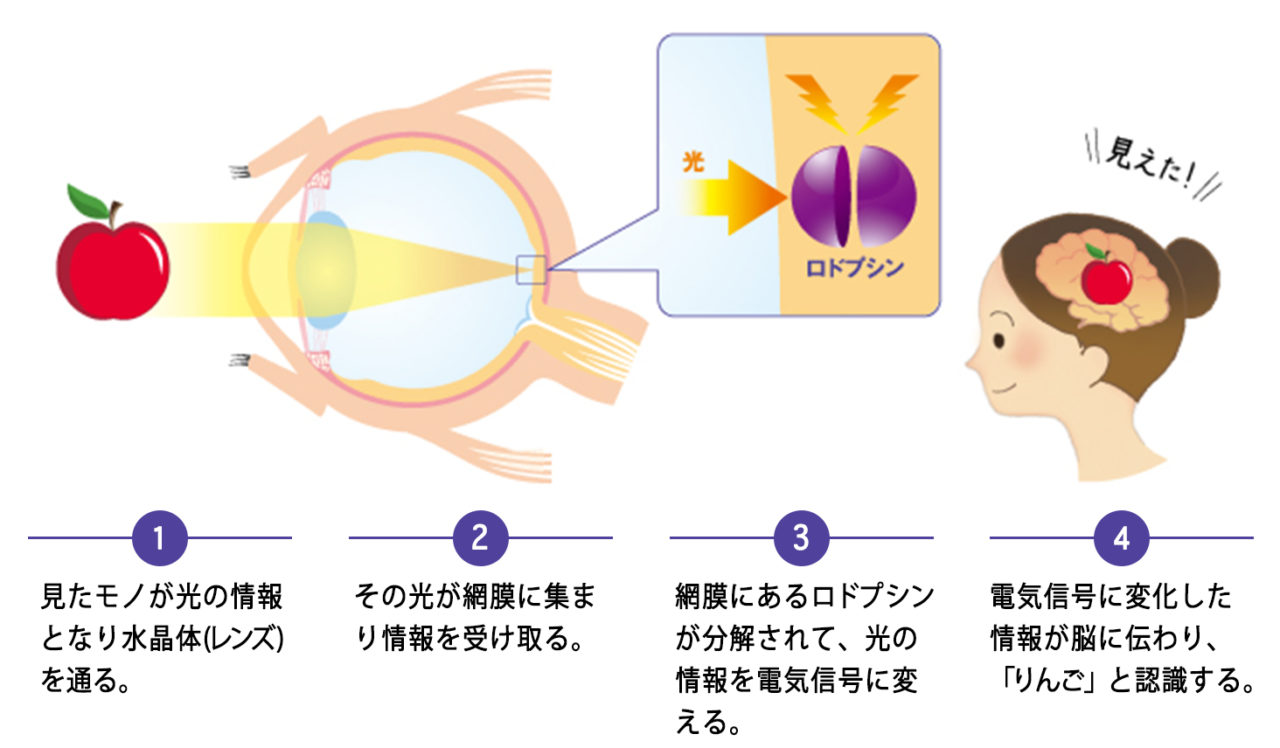 物件が異常かどうかはどうやってわかりますか?