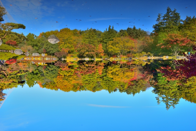 目は見たものを上下逆さまに映し出す　まるで上下が逆さまになったように自然が池に映った写真　目の不思議と視覚にまつわる面白い雑学