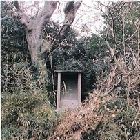 目すすぎの井戸