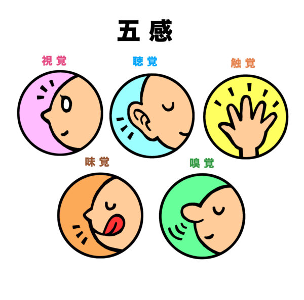 視覚・聴覚・触覚・味覚・嗅覚の五感のイラスト　夏バテ、秋バテ