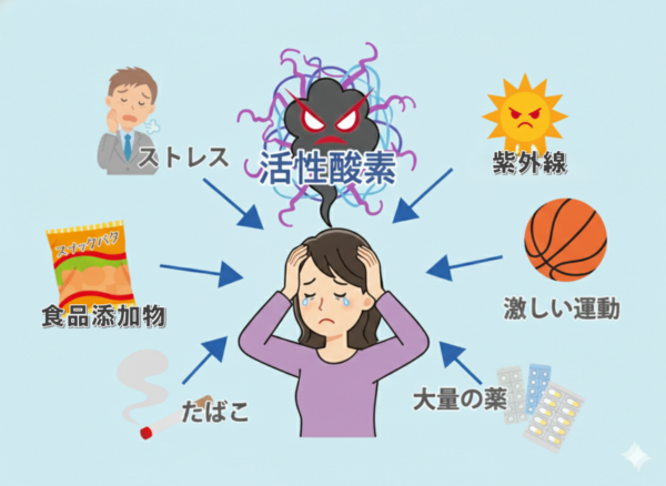 活性酸素の影響イラスト