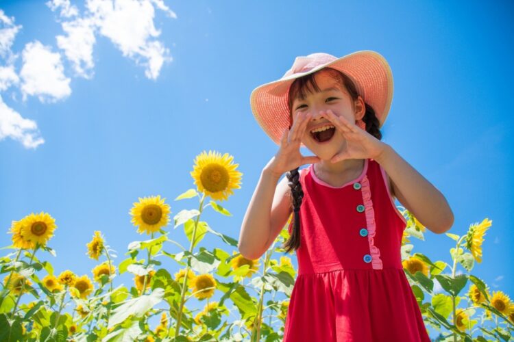 夏ひまわり畑で元気な女の子